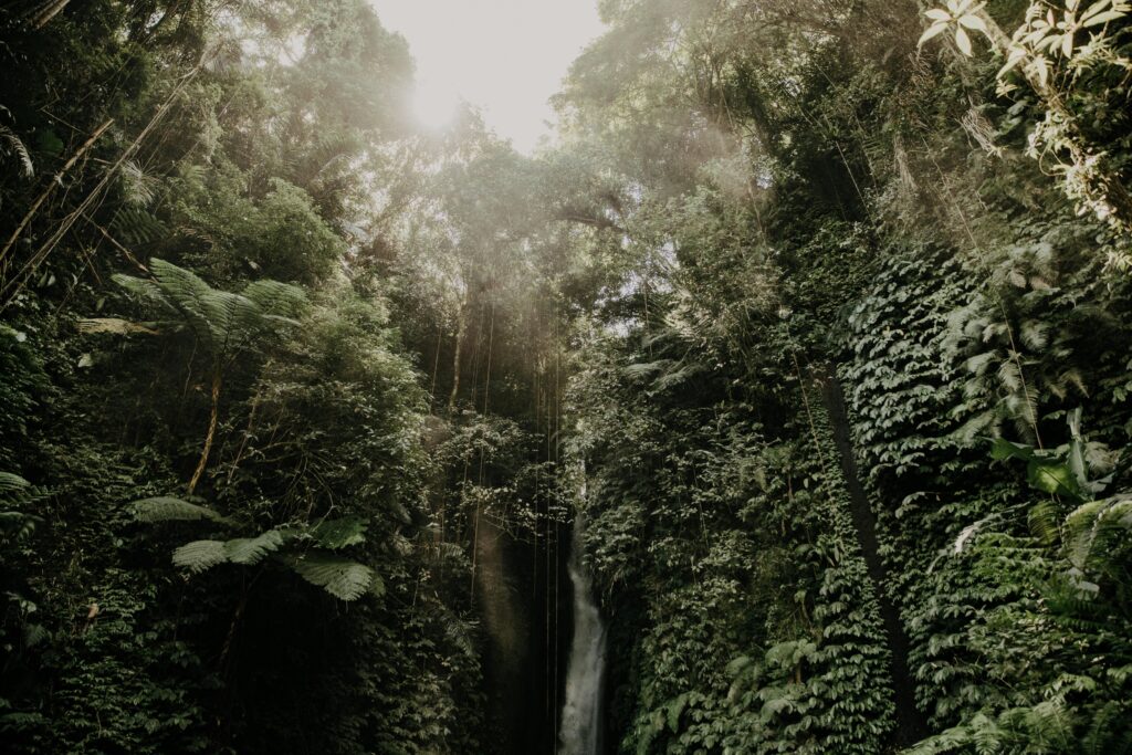 Natuur en waterval Bali