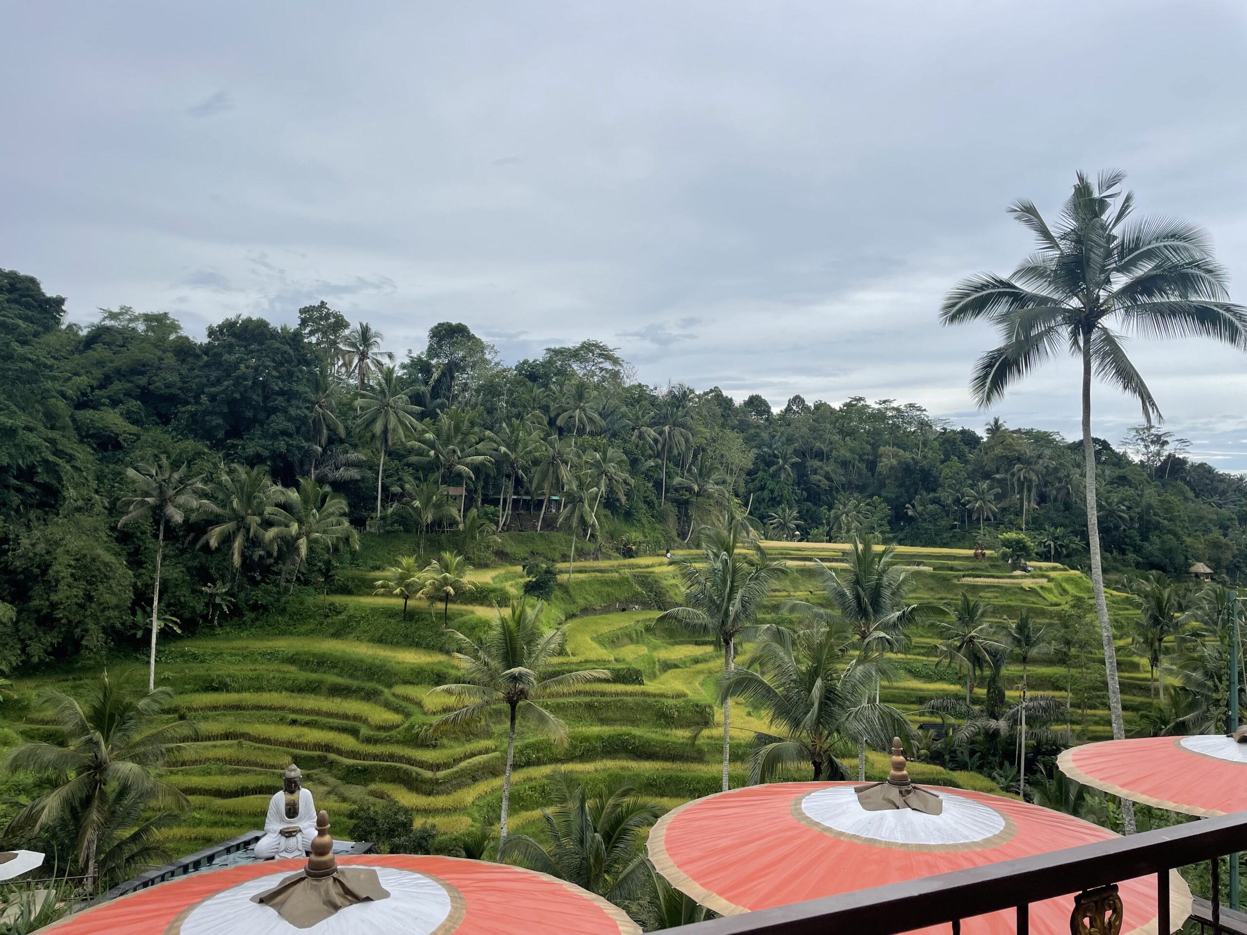 rijstvelden Ubud rustig Bali