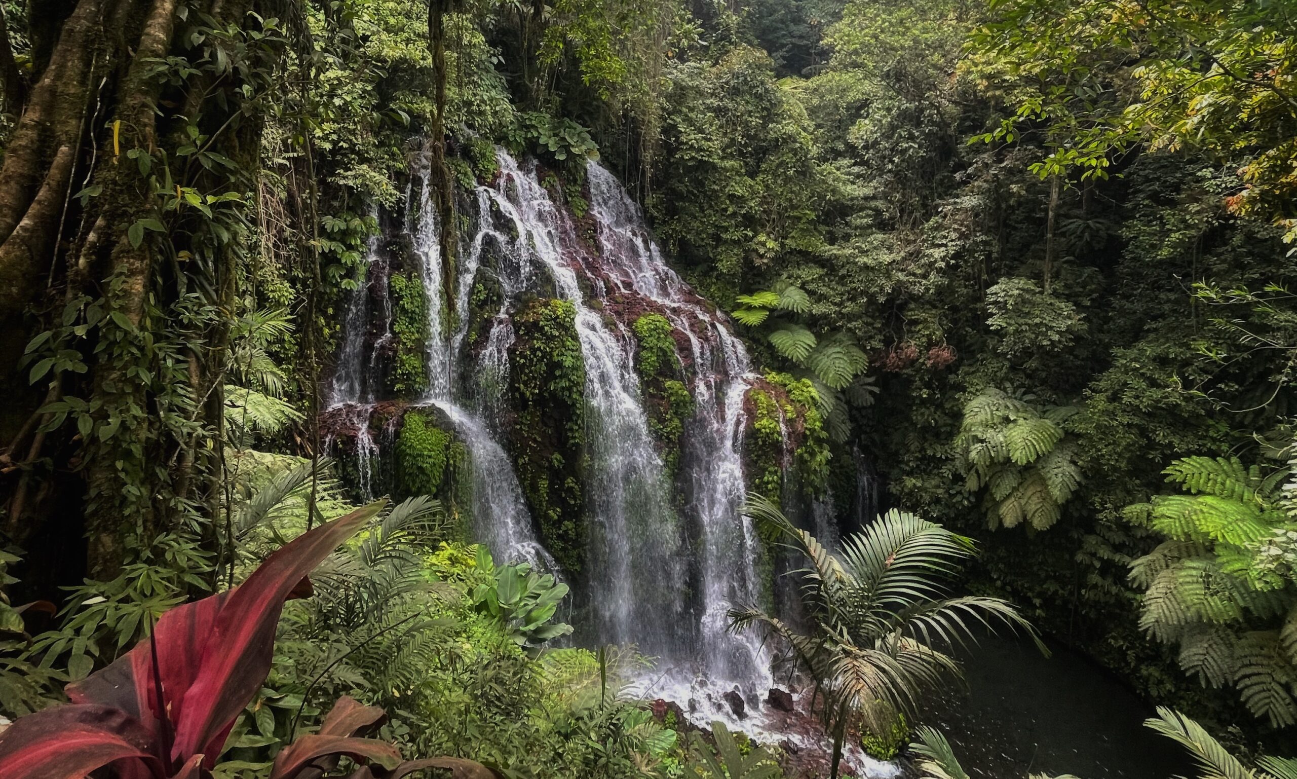 waterval Munduk jungle Bali