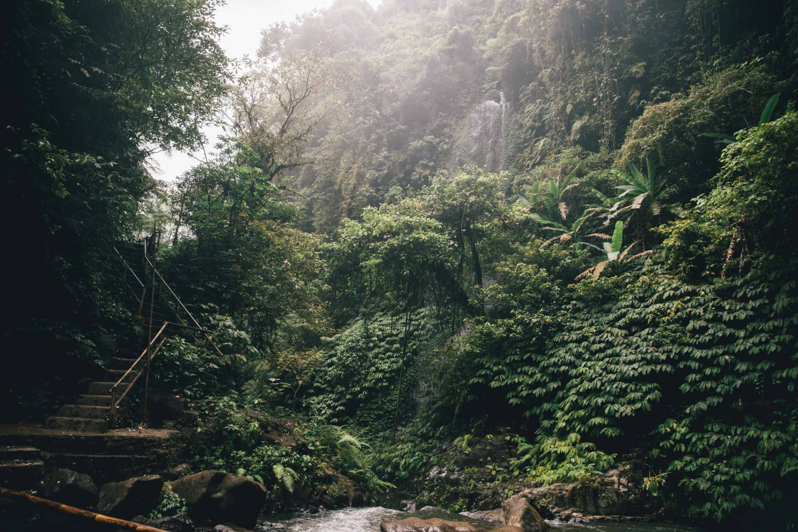 Eerste keer Bali: wat je moet weten (complete gids 2026) Munduk waterval bergen jungle bali