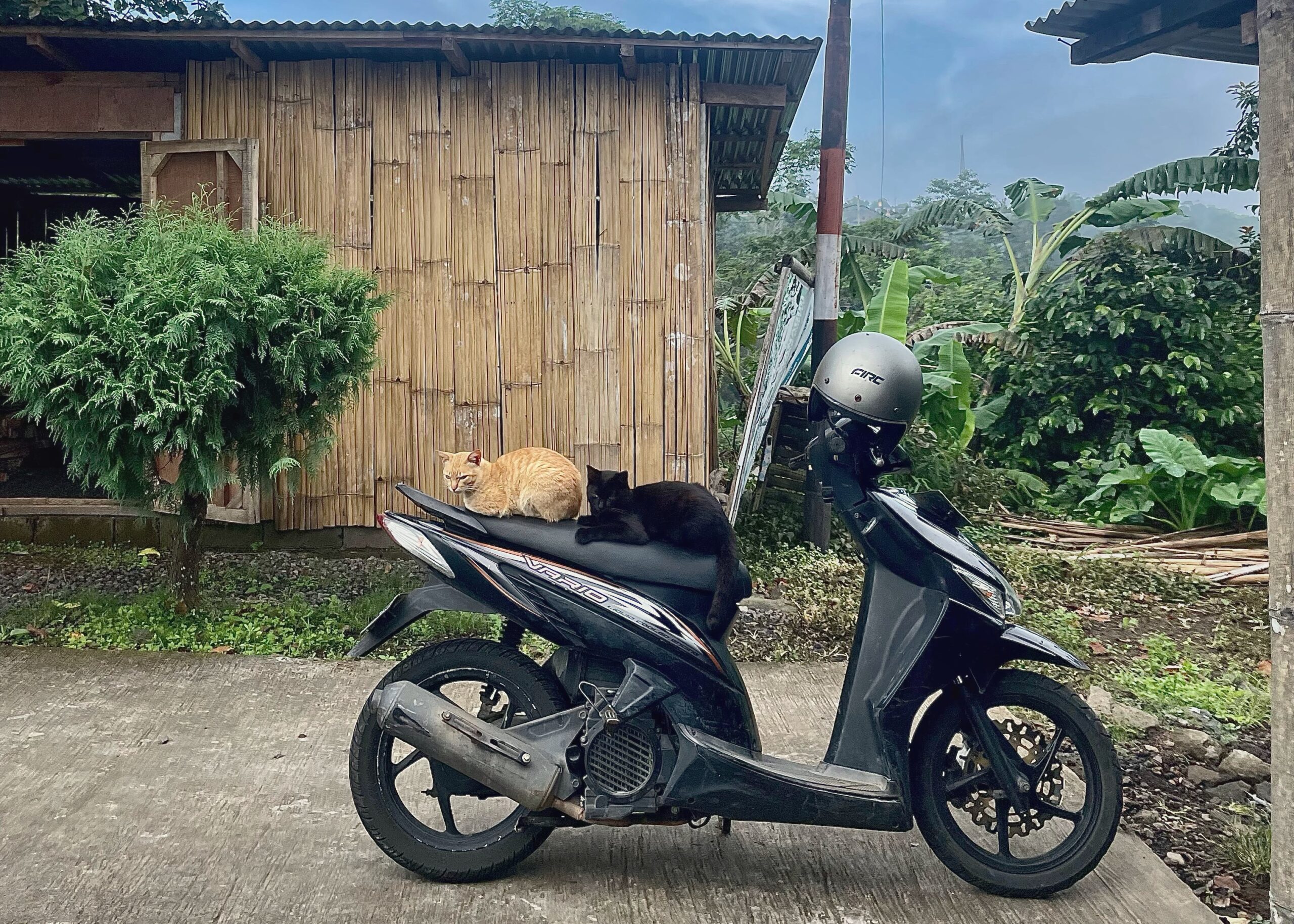 Reistijden en verkeer op Bali